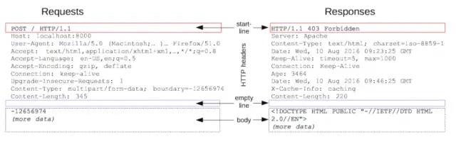 图片[2] - 有了HTTP，为啥还要用RPC - MaxSSL