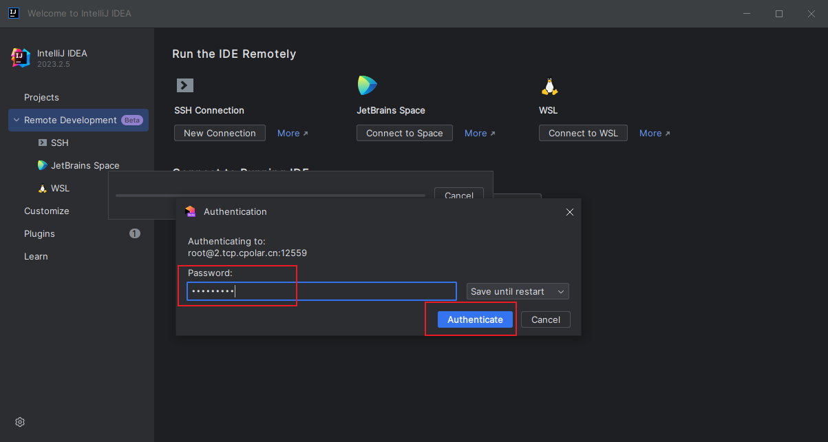 图片[16] - IntelliJ IDEA无公网远程Linux服务器环境开发(建议收藏!) - MaxSSL