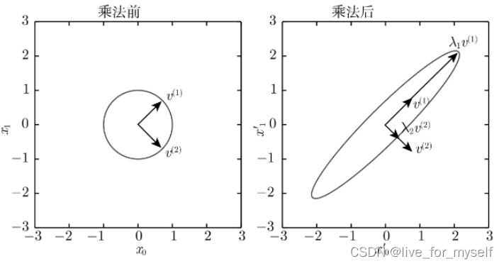 图片[2] - 深度学习数学基础 - MaxSSL