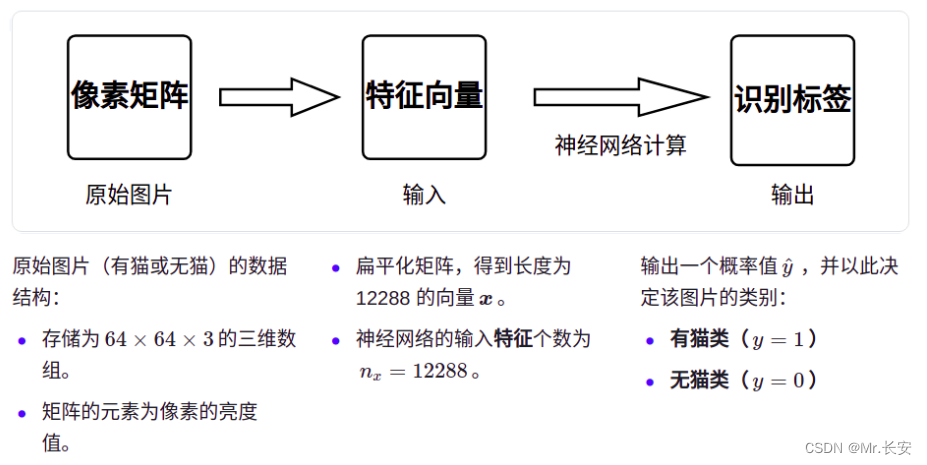 图片[3] - 用Pytorch构建一个喵咪识别模型 - MaxSSL