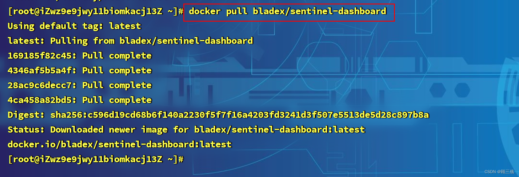 图片[7] - 【Linux】Centos 8 服务器部署：docker 安装 jdk、nginx、nacos、redis、Sentinel Dashboard - MaxSSL