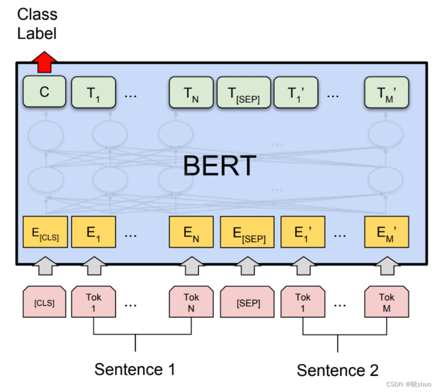 BERT架构简介 - MaxSSL