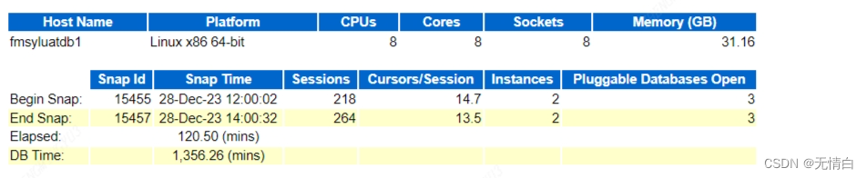 提升数据库性能的关键指南-Oracle AWR报告 - MaxSSL