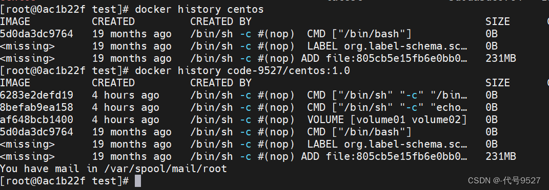 图片[5] - 【Docker】什么是Dockerfile - MaxSSL