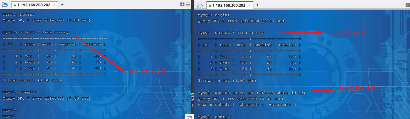 图片[8] - 【MySQL进阶教程】锁的详细介绍 - MaxSSL