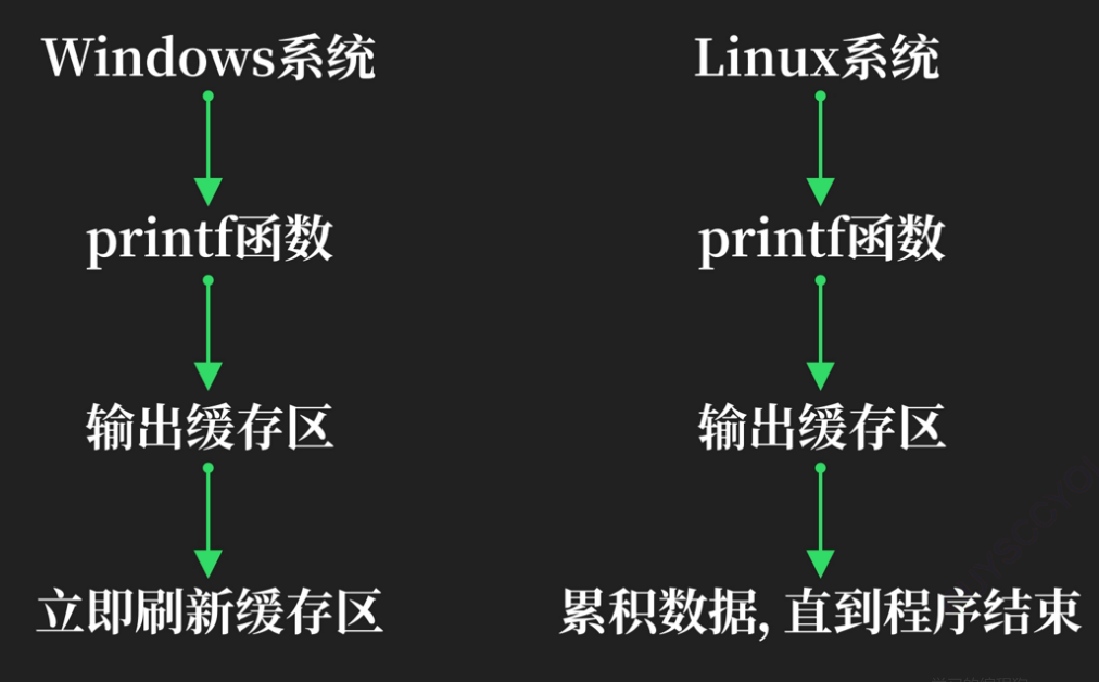 C语言第11天，输入输出缓存和函数 - MaxSSL