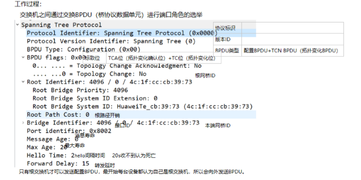 HCIA-STP原理与配置 - MaxSSL