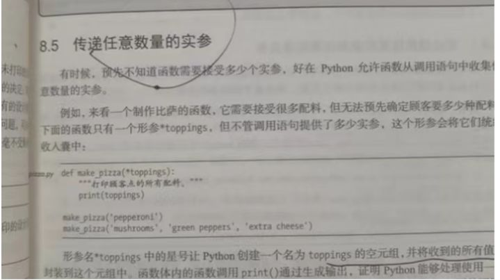 图片[3] - Python编程：从入门到实践为什么带你快速入门Python并在学习中避坑 - MaxSSL