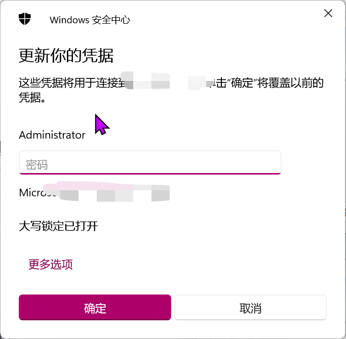 图片[13] - 23 Windows Sever  201服务器系统的安装以及远程控制的设置与使用 - MaxSSL