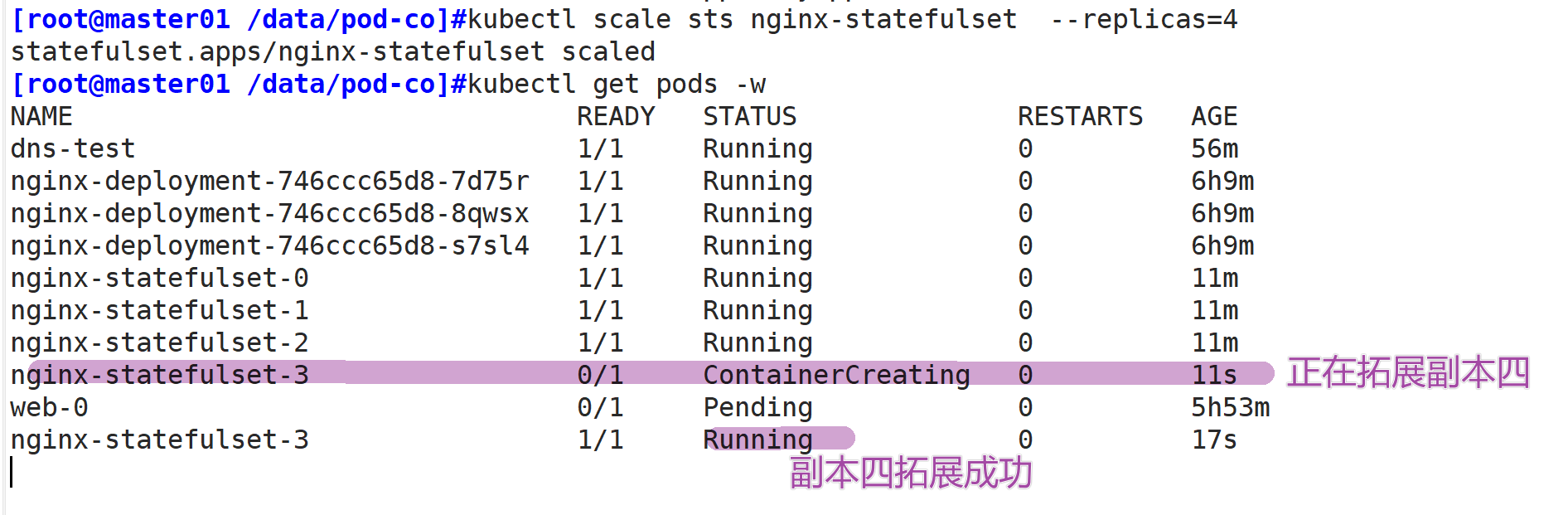 图片[25] - Pod控制器 - MaxSSL