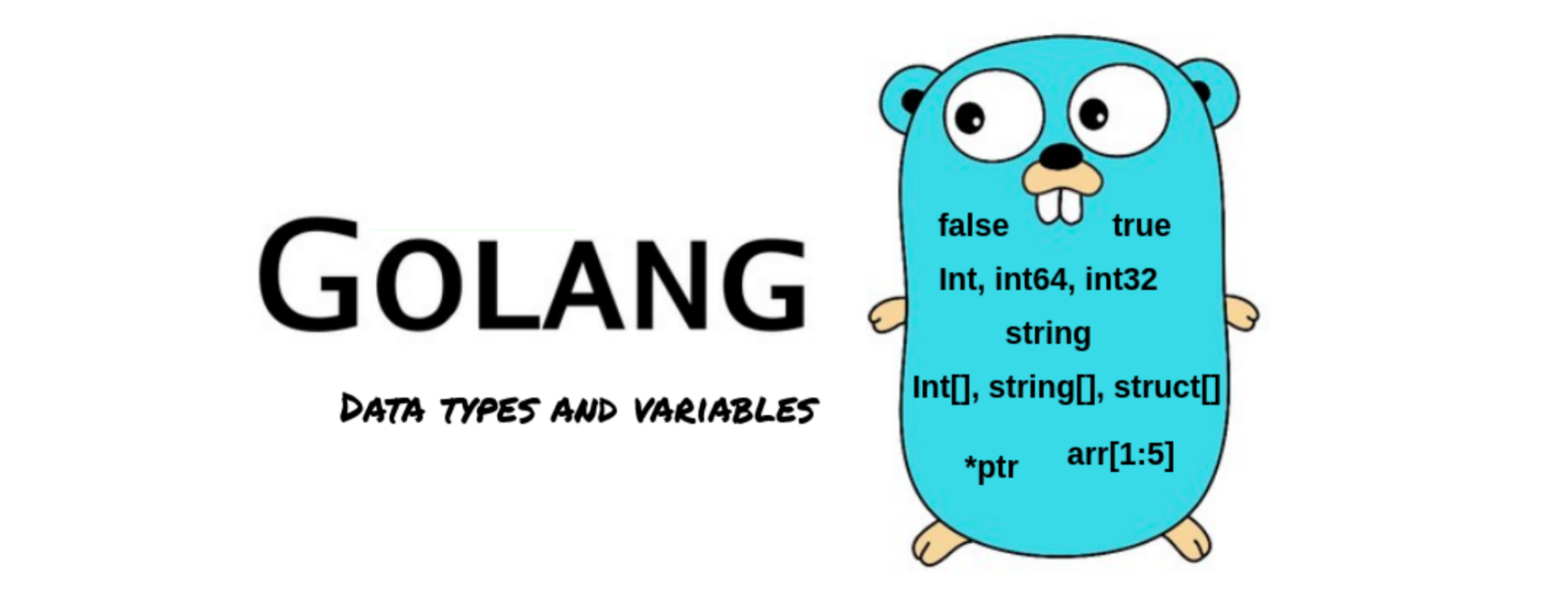 Go 语言内置类型全解析：从布尔到字符串的全维度探究 - MaxSSL