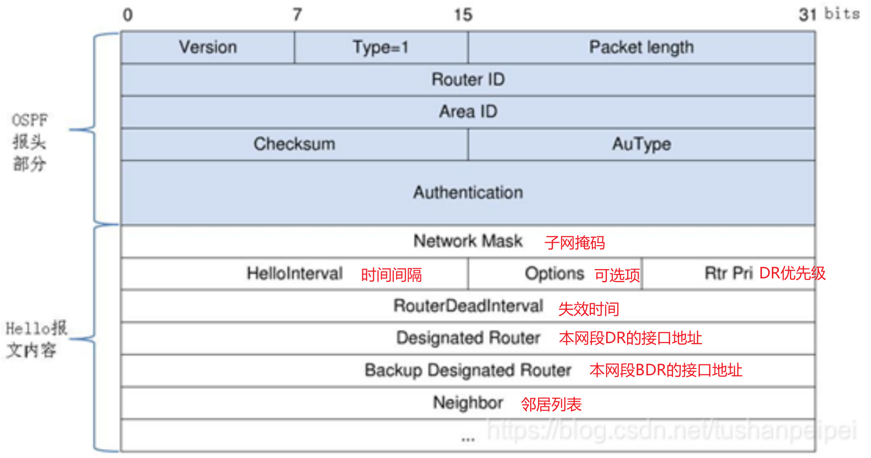 图片[16] - OSPF笔记 - MaxSSL