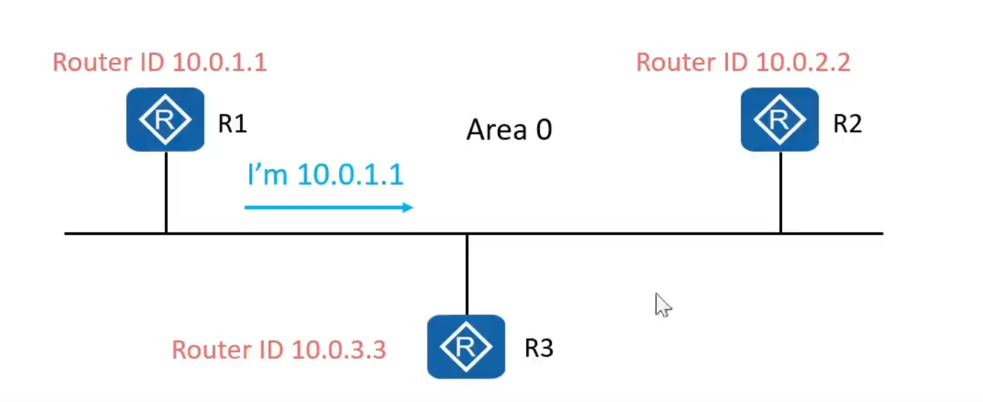 OSPF笔记 - MaxSSL