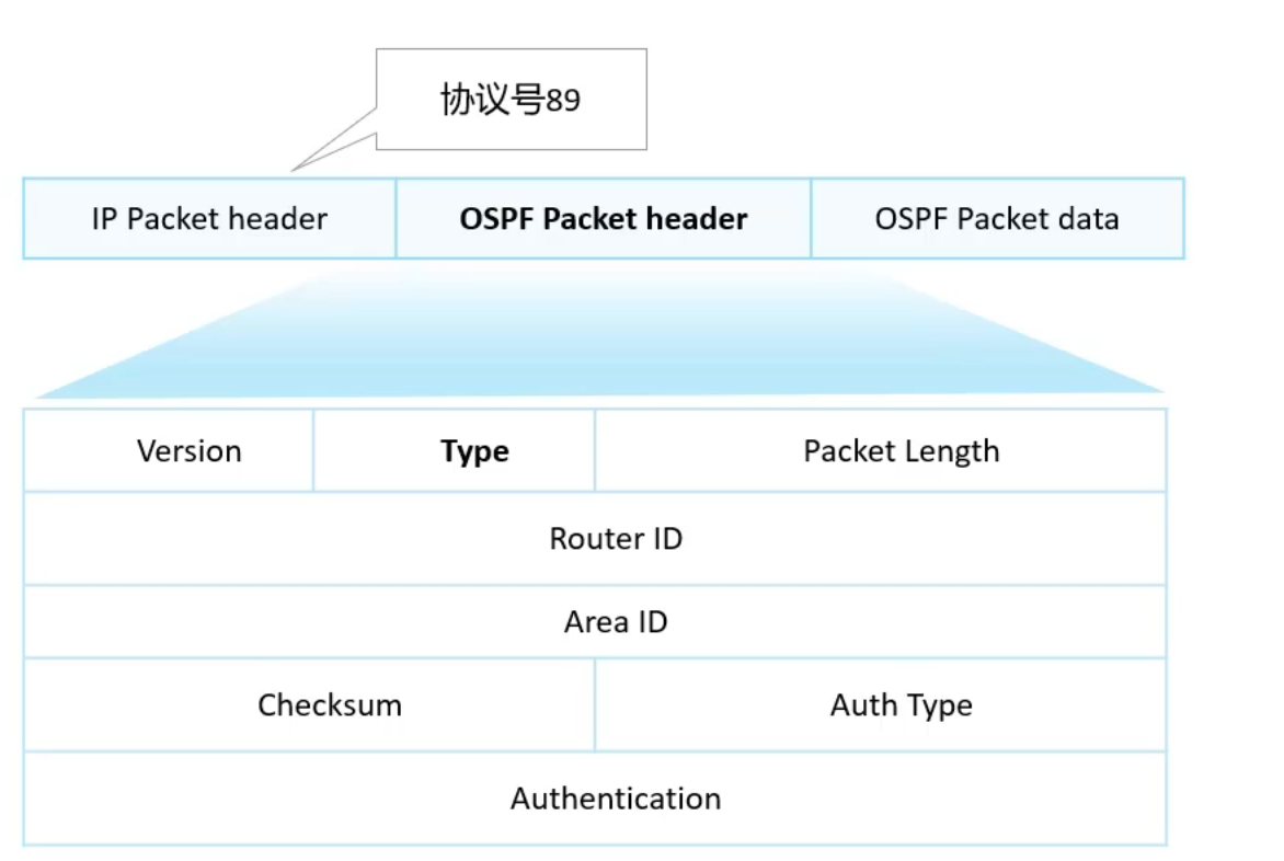 图片[14] - OSPF笔记 - MaxSSL