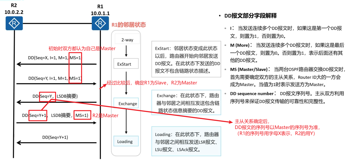 图片[23] - OSPF笔记 - MaxSSL