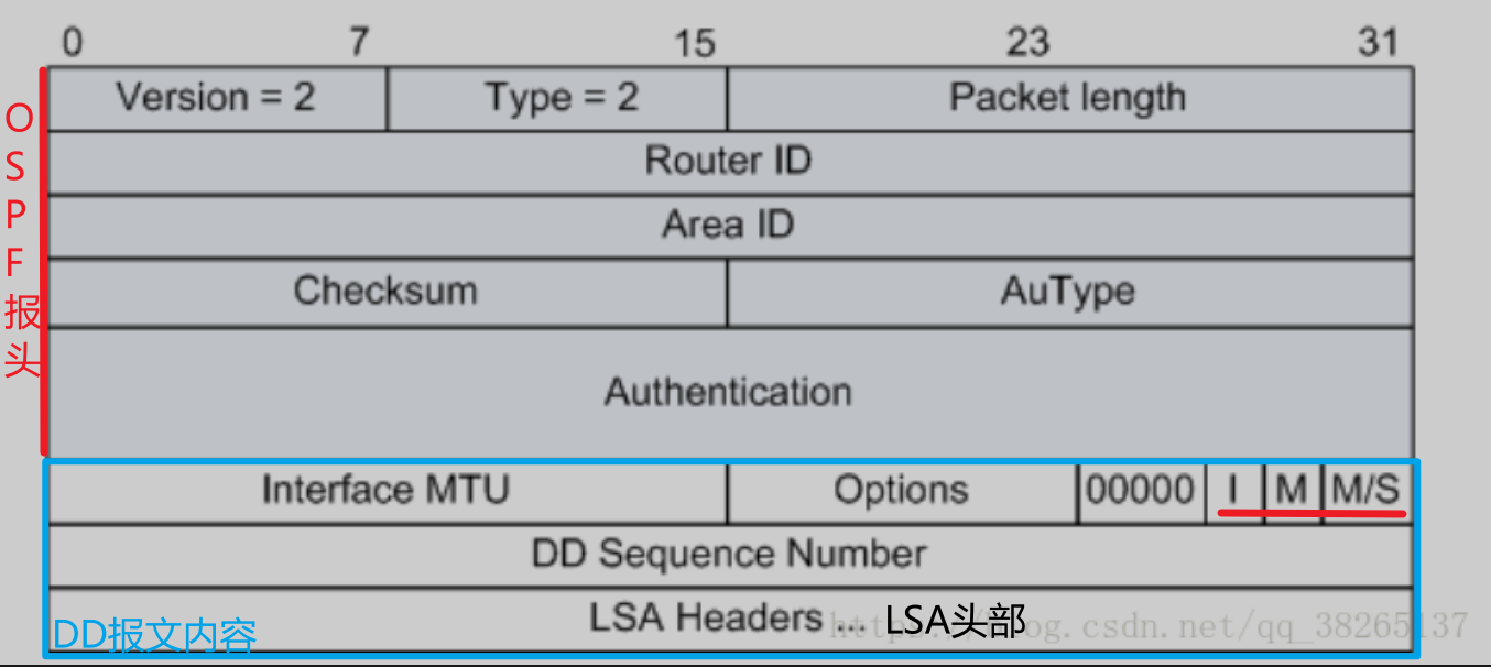 图片[17] - OSPF笔记 - MaxSSL